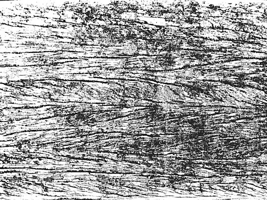 EPS 해외이미지 나무 디자인 선 벽 백그라운드 패턴 일러스트 자연 벽지 탁자 표면 날씨 추상 바닥 목재 장식 울타리 검은색 고통 수확 흰색 시골 판넬 거친 널 낟알 고민 질감 복고 덮기 잡동사니 내추럴 그런지 수목 엘리먼트 옛날 해외일러스트 식물 감정 컬러 가구 무늬 농업 재료 모션 담장 생태계 파일형식 벡터 이미지허브