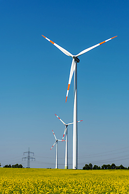 포토 JPG 해외이미지 식물 꽃 농업 자연 바람 사람없음 농작물 글로벌 농장 노란색 환경 힘 풍차 발전기 에너지 벚꽃 바퀴 개화 낟알 시리얼 유채 엔진 유지 온실 효과 해외포토 자연요소 산업 음식 컬러 날씨 발전소 생태계 파일형식 이미지허브