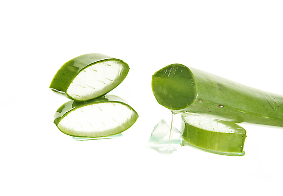 포토 JPG 해외이미지 컨셉 사람없음 머리 피부관리 흰배경 슬라이스 알로에 알로에베라 해외포토 식물 백그라운드 신체부위 뷰티 흰색 파일형식 이미지허브