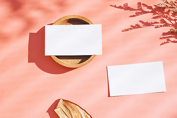 포토 JPG 해외이미지 꽃 종이 비즈니스 자연 명함 추상 프레임 사람없음 환경 친환경 유기농 목업 해외포토 식물 웰빙 무늬 생태계 파일형식 이미지허브