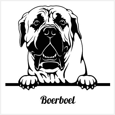 EPS 해외이미지 클립아트 동물 디자인 행복 실루엣 얼굴 새끼 일러스트 포유류 가족 발 자연 미술 미소 반려동물 머리 그리기 개 강아지 만화 수집 엿보기 심볼 사인 그림 사냥개 고립 캐리커처 해외일러스트 감정 관계 모션 문화예술 촬영기법 표정 신체부위 생태계 파일형식 벡터 이미지허브