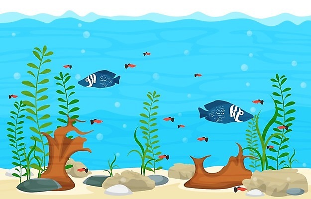 EPS 해외이미지 식물 동물 디자인 모래 파도 바다 백그라운드 컨셉 일러스트 자연 불가사리 항해 어류 미술 취미 내부 장식 물 반려동물 컬러풀 환경 상점 수중 수영 거품 바위 해조류 산호 작음 수집 다이빙 탱크 암초 수족관 동물상 민물 이국적 해외일러스트 자연요소 컬러 배_교통 문화예술 극피동물 조형물 수중동물 돌_바위 수상스포츠 해양식물 자포동물 크기 생태계 수중스포츠 파일형식 벡터 이미지허브