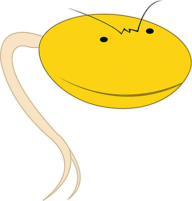 EPS 클립아트 식물 캐릭터 채소 일러스트 식재료 상상 자연 사람없음 분노 콩나물 일러캐릭터 감정 생태계 나물 파일형식 벡터