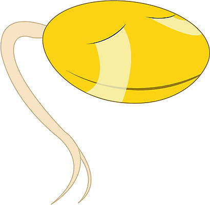 EPS 클립아트 식물 캐릭터 채소 일러스트 식재료 상상 자연 사람없음 울음 콩나물 일러캐릭터 표정 생태계 나물 파일형식 벡터