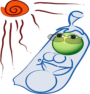 EPS 클립아트 식물 캐릭터 열매 음식 일러스트 식재료 상상 자연 콩 의인화 사람없음 선탠 완두콩 일러캐릭터 곡류 생태계 파일형식 벡터