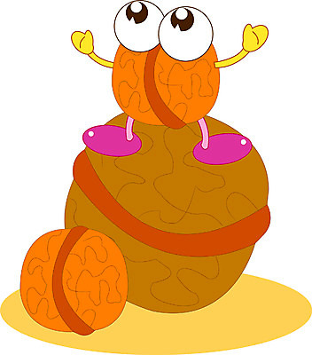 EPS 클립아트 식물 캐릭터 열매 일러스트 상상 사람없음 견과류 호두 견과류캐릭터 일러캐릭터 파일형식 벡터