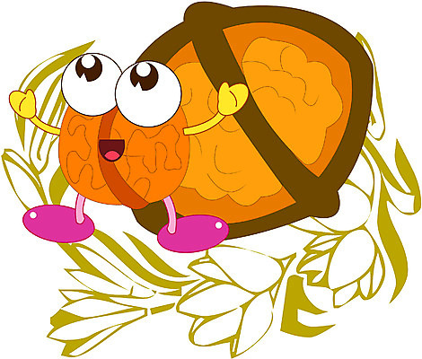 EPS 클립아트 식물 캐릭터 열매 일러스트 상상 사람없음 견과류 호두 견과류캐릭터 일러캐릭터 파일형식 벡터