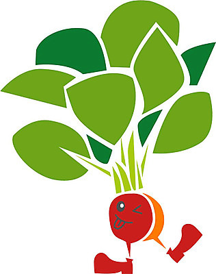 EPS 클립아트 식물 얼굴 채소 일러스트 식재료 상상 표정 의인화 형상 초록색 표현 묘사 사탕무 적환무 국내일러스트 컬러 신체부위 무 파일형식 벡터