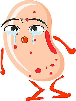 EPS 클립아트 식물 열매 얼굴 음식 일러스트 식재료 콩 곡류 표정 의인화 형상 표현 묘사 견과류캐릭터 일러캐릭터 캐릭터 신체부위 견과류 파일형식 벡터