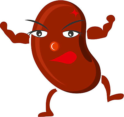 EPS 클립아트 식물 열매 얼굴 음식 일러스트 식재료 콩 곡류 표정 의인화 형상 표현 묘사 견과류캐릭터 일러캐릭터 캐릭터 신체부위 견과류 파일형식 벡터