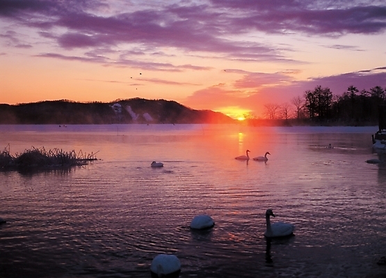 포토 JPG 구름 백그라운드 자연 조류 하늘 풍경 사람없음 빨간색 강 일출 노을 일몰 학 국내포토 자연요소 동물 컬러 생태계 파일형식