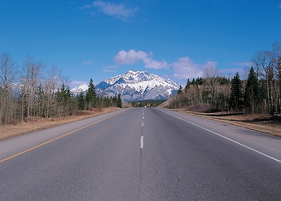 포토 JPG 주간 시설물 현대건축 건축 도로 길 백그라운드 자연 풍경 사람없음 야외 고속도로 국내포토 자연요소 건축물 교통시설 생태계 파일형식