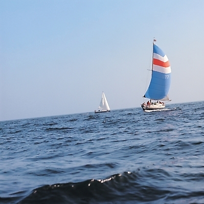 포토 JPG 사계절 계절 바다 교통 수상교통 요트 자연 하늘 풍경 사람없음 여름 여름스포츠 선박 국내포토 교통수단 스포츠 배_교통 생태계 파일형식 여름_계절