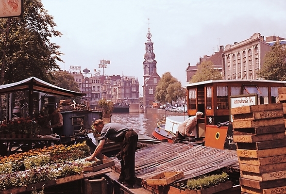 포토 JPG 주간 해외풍경 해외 건축물 건축 꽃 자연 풍경 야외 두명 건물 도시 시장 꽃집 수상가옥 국내포토 자연요소 식물 주택 사람 상점 생태계 파일형식