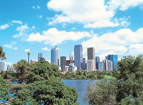 포토 JPG 주간 나무 구름 해외풍경 자연 하늘 풍경 빌딩 사람없음 야외 건물 강 도시풍경 도시 빌딩숲 상업시설 국내포토 자연요소 식물 해외 건축물 시설 생태계 상업 파일형식