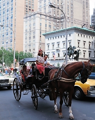 포토 JPG 주간 해외풍경 도로 길 교통수단 자연 풍경 빌딩 야외 건물 운송업 도시 말_동물 마차 상업시설 국내포토 자연요소 해외 건축물 산업 교통 포유류 교통시설 시설 생태계 상업 파일형식