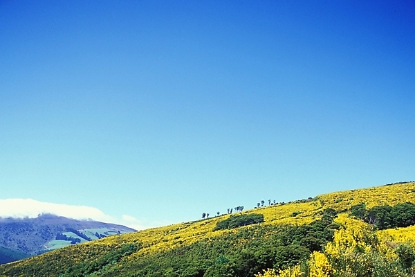 포토 JPG 주간 해외풍경 외국문화 자연 하늘 산 풍경 초원 사람없음 야외 오세아니아 언덕 뉴질랜드 고산지대 국내포토 자연요소 해외 나라 문화 생태계 파일형식