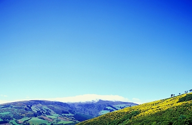포토 JPG 주간 해외풍경 외국문화 자연 하늘 산 풍경 초원 사람없음 야외 오세아니아 언덕 뉴질랜드 고산지대 국내포토 자연요소 해외 나라 문화 생태계 파일형식