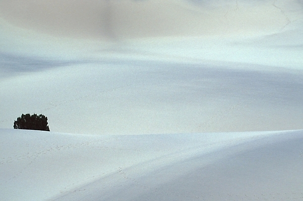 포토 JPG 해외풍경 자연 풍경 사람없음 사막 국내포토 해외 생태계 파일형식