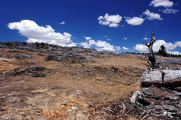 포토 JPG 주간 구름 해외풍경 자연 하늘 산 풍경 초원 사람없음 야외 국내포토 자연요소 해외 생태계 파일형식