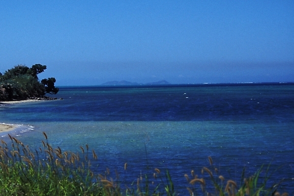 포토 JPG 주간 해외풍경 바다 외국문화 자연 하늘 풍경 해변 사람없음 야외 오세아니아 파푸아뉴기니 강아지풀 국내포토 자연요소 식물 해외 나라 문화 생태계 한해살이풀 파일형식