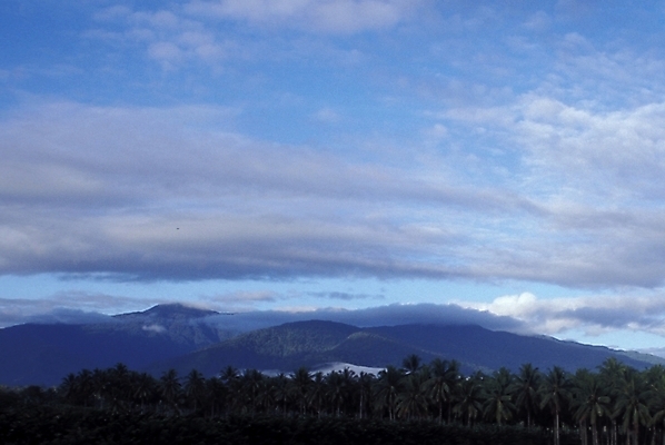포토 JPG 주간 구름 해외풍경 외국문화 자연 하늘 산 풍경 사람없음 야외 야자수 오세아니아 파푸아뉴기니 국내포토 자연요소 나무 해외 나라 문화 생태계 파일형식