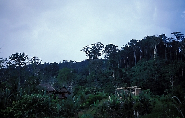 포토 JPG 구름 해외풍경 외국문화 자연 하늘 산 풍경 사람없음 오세아니아 숲 파푸아뉴기니 국내포토 자연요소 해외 나라 문화 생태계 파일형식