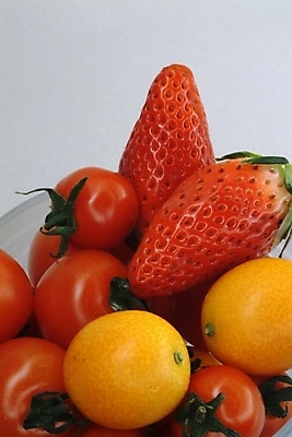 포토 JPG 스튜디오촬영 식물 음식 토마토 채소 과일 식재료 방울토마토 딸기 근접촬영 사람없음 농작물 금귤 국내포토 뷰포인트 농업 귤 실내 파일형식