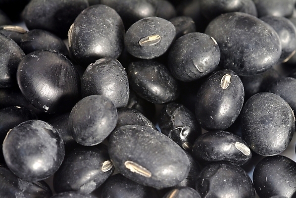 포토 JPG 스튜디오촬영 식물 열매 음식 식재료 콩 곡류 씨앗 근접촬영 사람없음 농작물 유기농 검은콩 검정콩 국내포토 웰빙 뷰포인트 농업 실내 파일형식