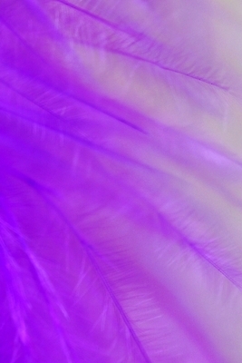 포토 JPG 디자인 백그라운드 사람없음 보라색 한지 색지 국내포토 종이 컬러 파일형식