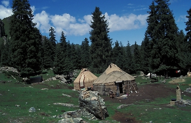 포토 JPG 나무 해외풍경 시설물 건축 고건축 자연 풍경 초원 사람없음 천막 실크로드 움막 움집 국내포토 식물 해외 건축물 생태계 파일형식