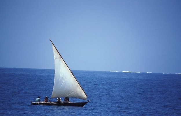 포토 JPG 주간 해외풍경 바다 외국문화 수상교통 아프리카 자연 풍경 야외 돛단배 범선 탄자니아 선박 국내포토 자연요소 해외 나라 문화 교통수단 배_교통 생태계 파일형식