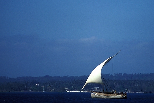 포토 JPG 주간 해외풍경 바다 외국문화 수상교통 아프리카 자연 풍경 사람없음 야외 돛단배 범선 탄자니아 선박 국내포토 자연요소 해외 나라 문화 교통수단 배_교통 생태계 파일형식