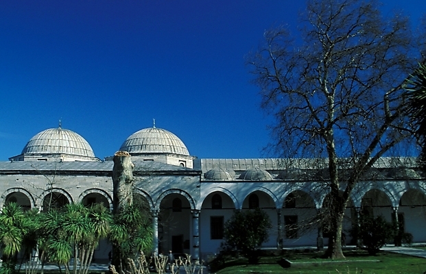 포토 JPG 주간 나무 식물 해외풍경 건축물 건축 자연 풍경 빌딩 사람없음 야외 건물 돔 돔지붕 상업시설 국내포토 자연요소 해외 지붕 시설 생태계 상업 파일형식