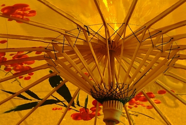 포토 JPG 잡화 우산 전통소품 사람없음 양산 일본우산 종이우산 국내포토 전통 오브젝트 파일형식