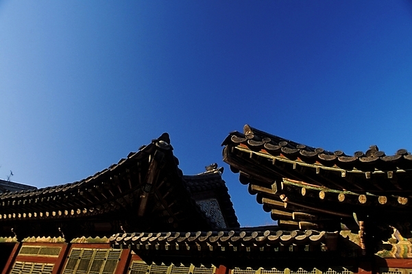 포토 JPG 주간 한국문화 한국전통 시설물 건축물 건축 고건축 하늘 지붕 사람없음 야외 관광지 동양건축 궁전 문화재 처마 덕수궁 국내포토 자연요소 동양문화 전통 여행 한국 파일형식 동양