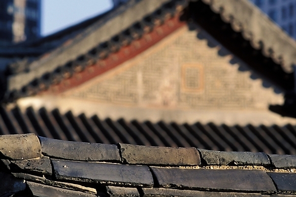 포토 JPG 주간 한국문화 한국전통 시설물 건축물 건축 고건축 한국건축 지붕 한국 기와 기와집 사람없음 야외 동양건축 문화재 덕수궁 국내포토 자연요소 동양문화 전통 아시아 한옥 궁전 파일형식 동양