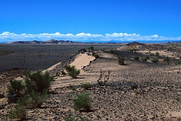 포토 JPG 해외풍경 아시아 외국문화 자연 풍경 사람없음 사막 풀 황무지 건초 몽골 국내포토 식물 해외 나라 문화 생태계 파일형식