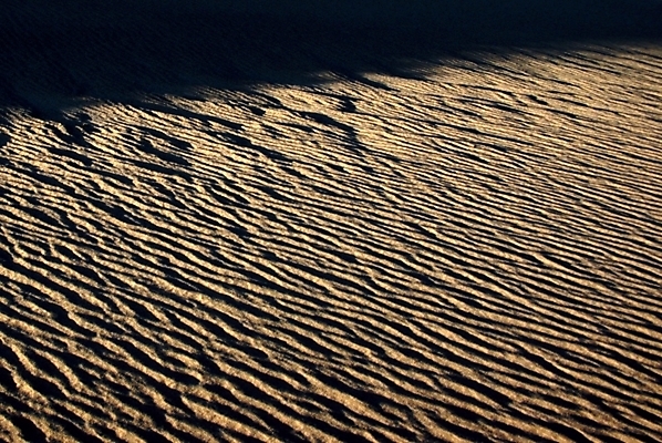 포토 JPG 해외풍경 아시아 외국문화 자연 풍경 사람없음 사막 몽골 국내포토 해외 나라 문화 생태계 파일형식