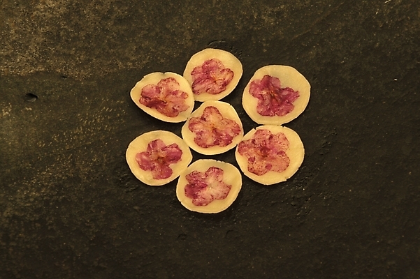 포토 JPG 한국문화 한국전통 한식 음식 한국 사람없음 전통음식 전 화전 화전병 제철음식 국내포토 동양문화 전통 아시아 제철 파일형식