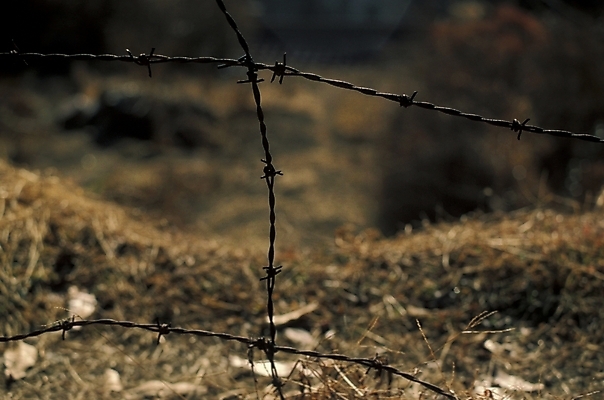 포토 JPG 시설물 백그라운드 근접촬영 사람없음 철조망 철책 국내포토 건축물 뷰포인트 파일형식