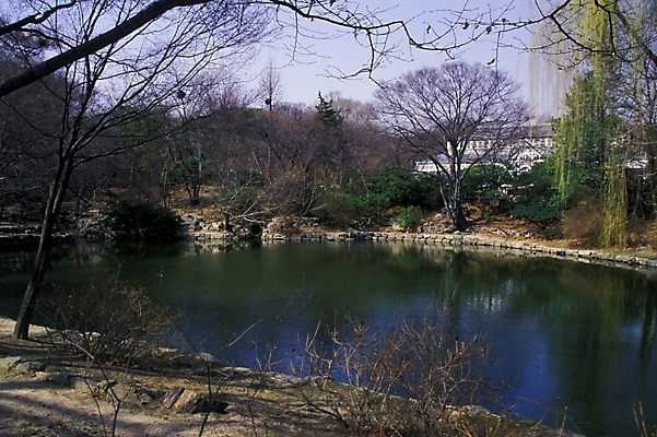 포토 JPG 공원 호수 자연 풍경 사람없음 정원 산책로 도시 조경 인공호수 국내포토 공공시설 길 생태계 파일형식