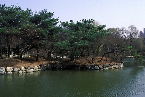 포토 JPG 나무 공원 호수 자연 풍경 사람없음 정원 도시 조경 인공호수 국내포토 식물 공공시설 생태계 파일형식