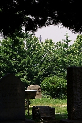 포토 JPG 나무 시설물 공원 현대건축 건축 자연 풍경 사람없음 야외 조각상 전시 미술관 전시회 작품 문화시설 조각작품 국내포토 식물 건축물 공공시설 미술 조형물 시설 생태계 파일형식