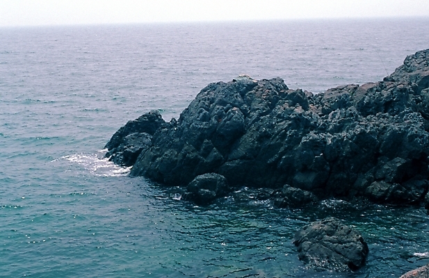 포토 JPG 바다 섬 자연 풍경 사람없음 바위섬 국내포토 생태계 파일형식