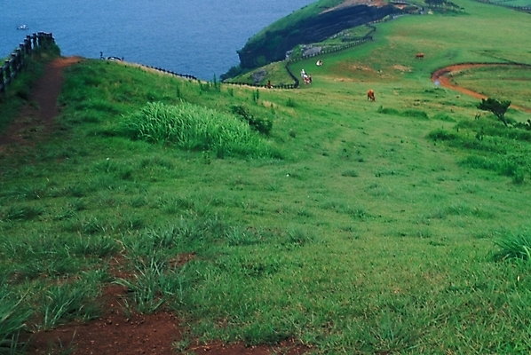 포토 JPG 바다 자연 풍경 초원 사람없음 목초지 언덕 목축지 국내포토 목장 생태계 파일형식 초원_자연