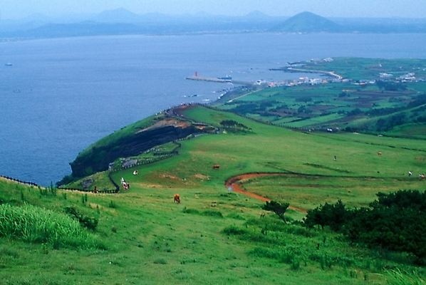 포토 JPG 바다 자연 풍경 초원 사람없음 목초지 언덕 목축지 국내포토 목장 생태계 파일형식 초원_자연