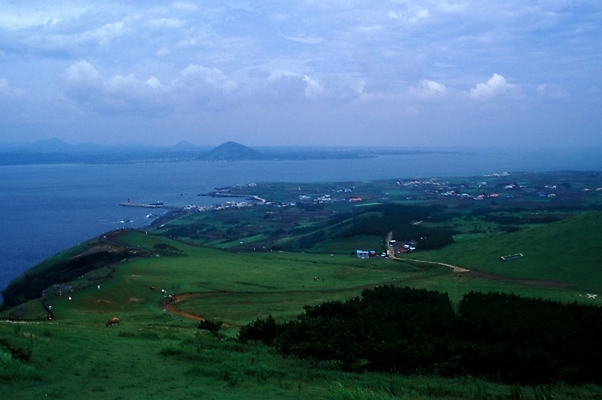 포토 JPG 구름 바다 자연 하늘 풍경 초원 사람없음 목초지 언덕 목축지 국내포토 자연요소 목장 생태계 파일형식 초원_자연