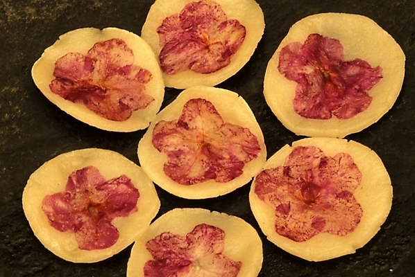 포토 JPG 한국문화 한국전통 꽃잎 한식 음식 한국 사람없음 전통음식 전 부침개 화전 화전병 제철음식 국내포토 동양문화 전통 꽃 아시아 제철 파일형식