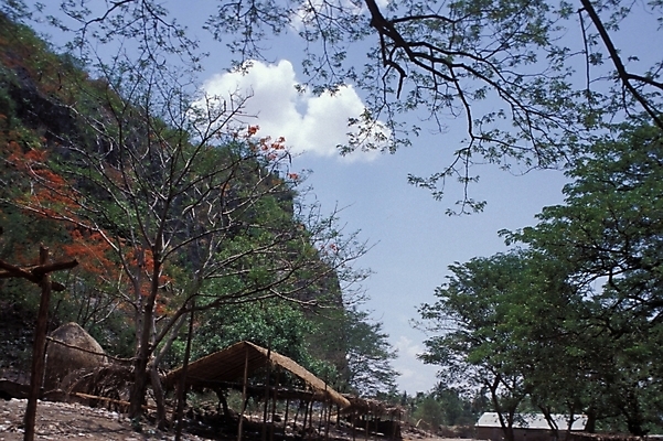 포토 JPG 나무 자연 하늘 산 풍경 사람없음 시골 숲 산골 국내포토 식물 생태계 파일형식